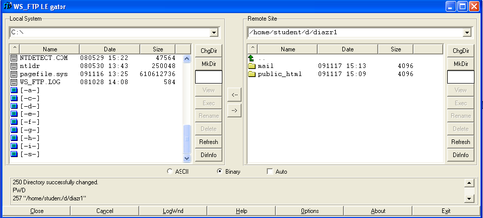 Configuring WS FTP LE Gator Window
