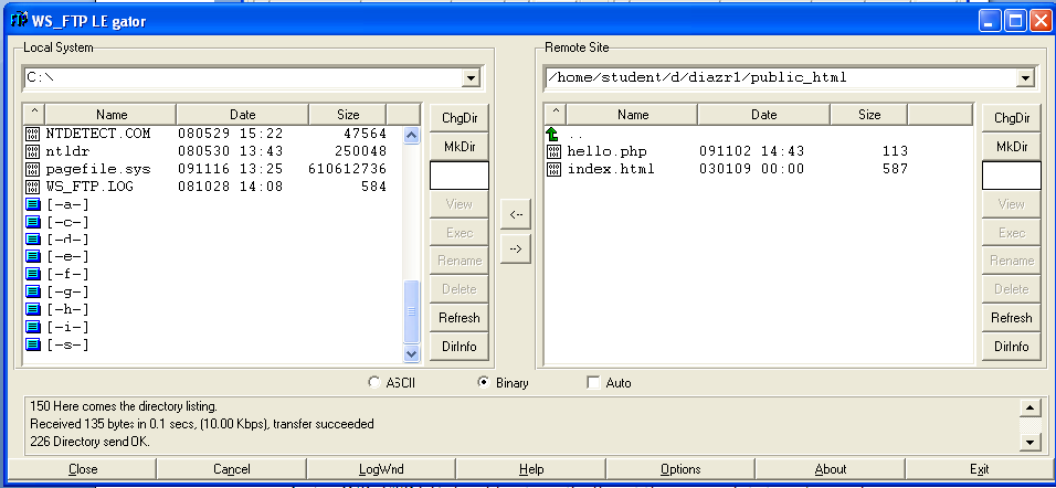 Configuring WS FTP LE Gator Window