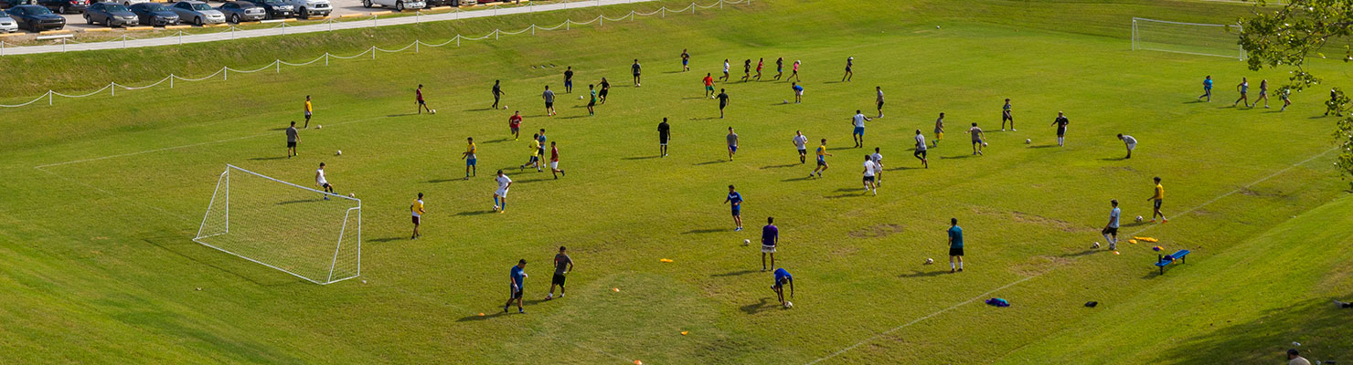 soccer field