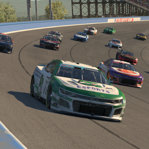 Ten racecars on a track with an esports racecar with a gator on it