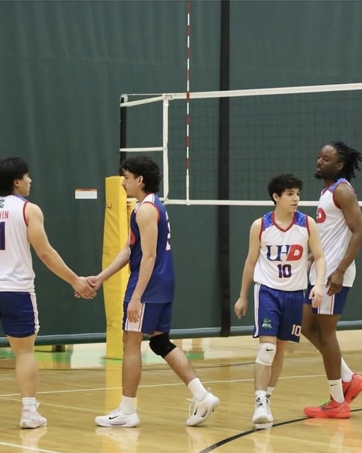 Teammates shaking hands on court 